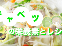 キャベツの栄養素とその効果は？キャベツを使った血流改善につながるレシピも紹介_血...