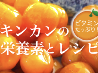 金柑 栄養