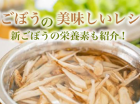 新ごぼうの栄養素とその効果！新ごぼうの簡単レシピも紹介_血流改善でママを応援する...